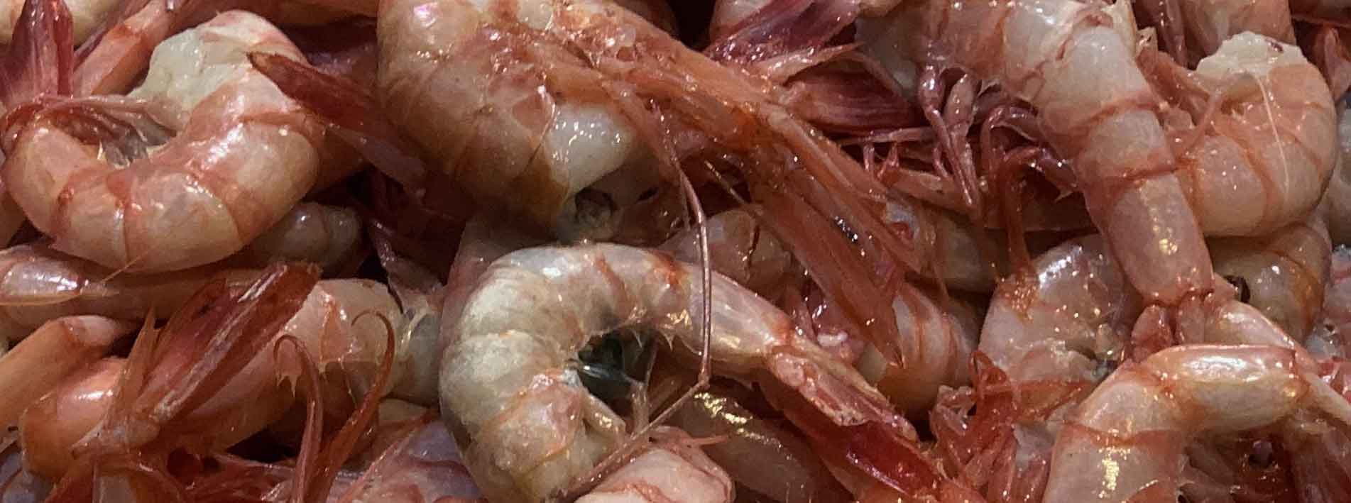 Especialidades gastronómicas de Mallorca gourmet. Gastronomic specialities of gourmet Mallorca