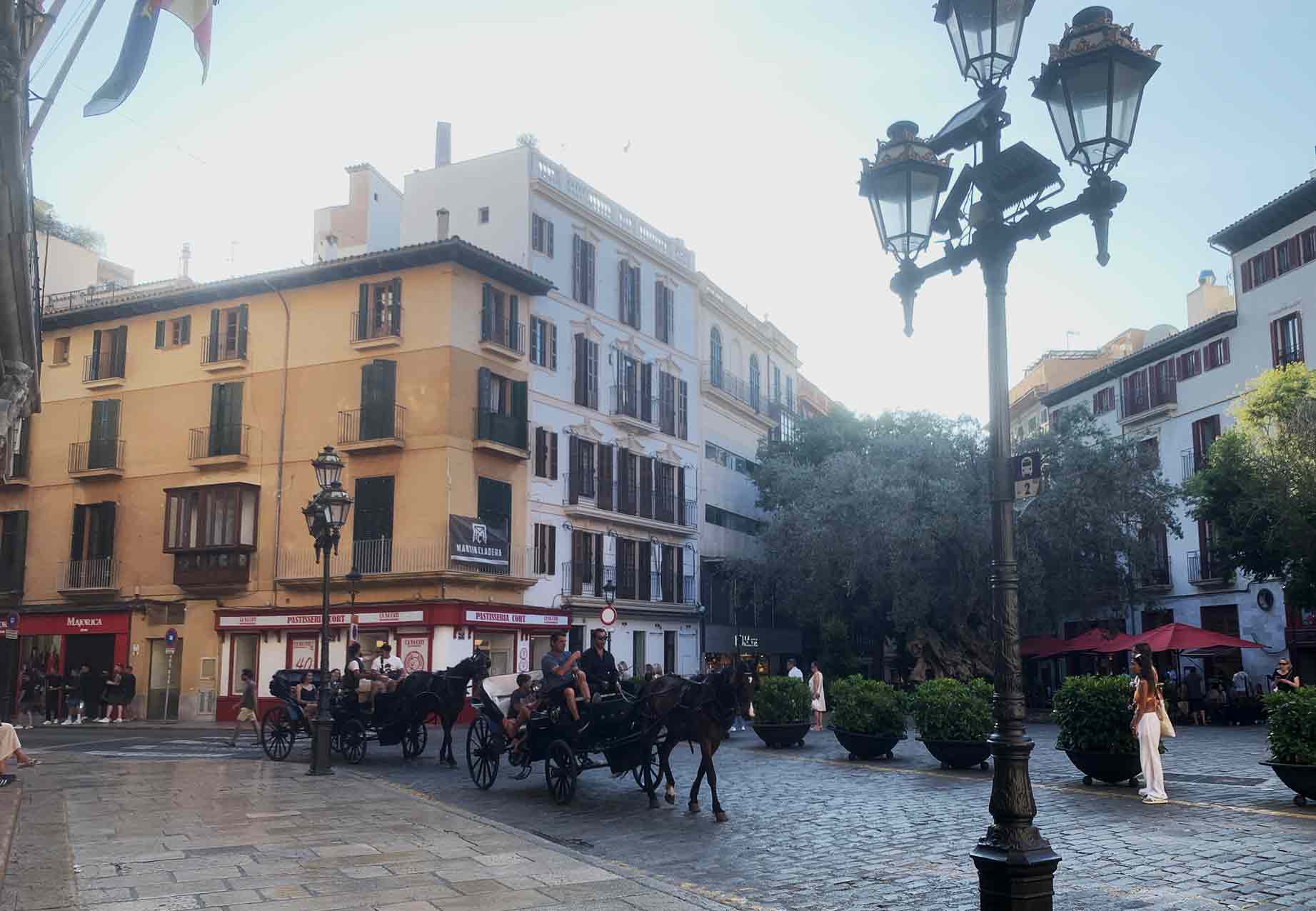 Judería de Palma (Call Jueu) o Barrio Judío Palma's Jewish Quarter - Plaza-Cort