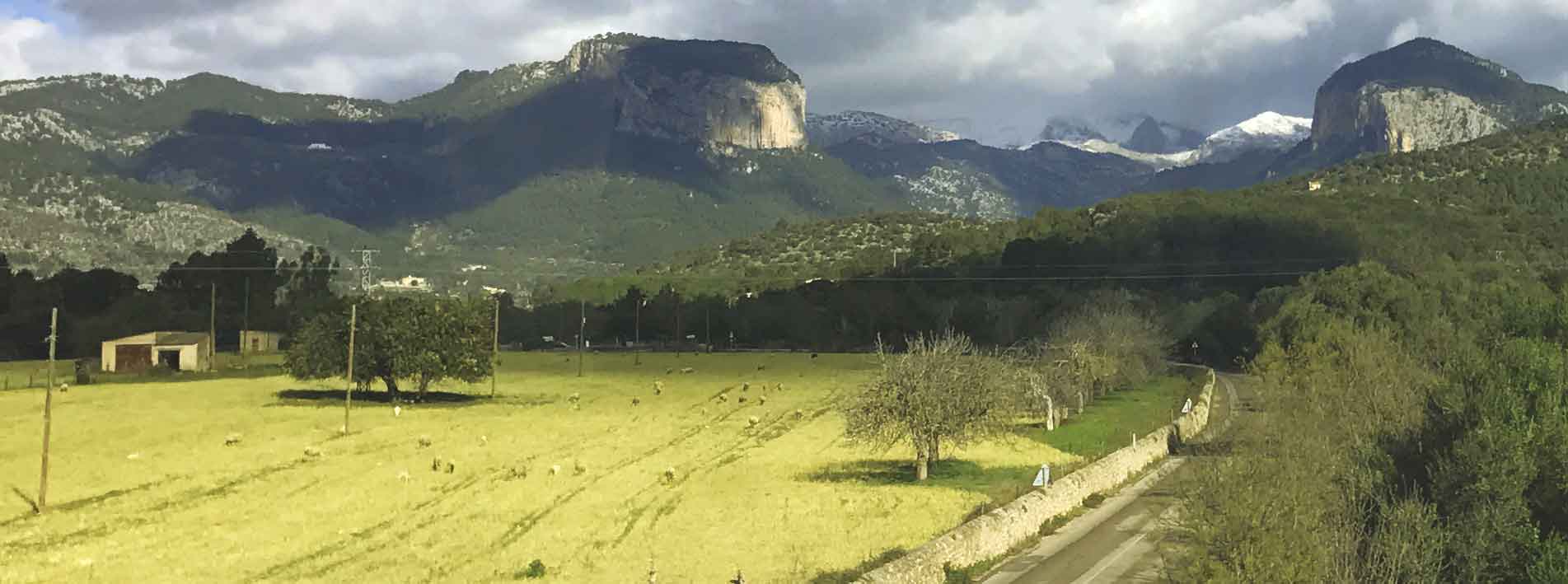 Comarcas Mallorca Districts