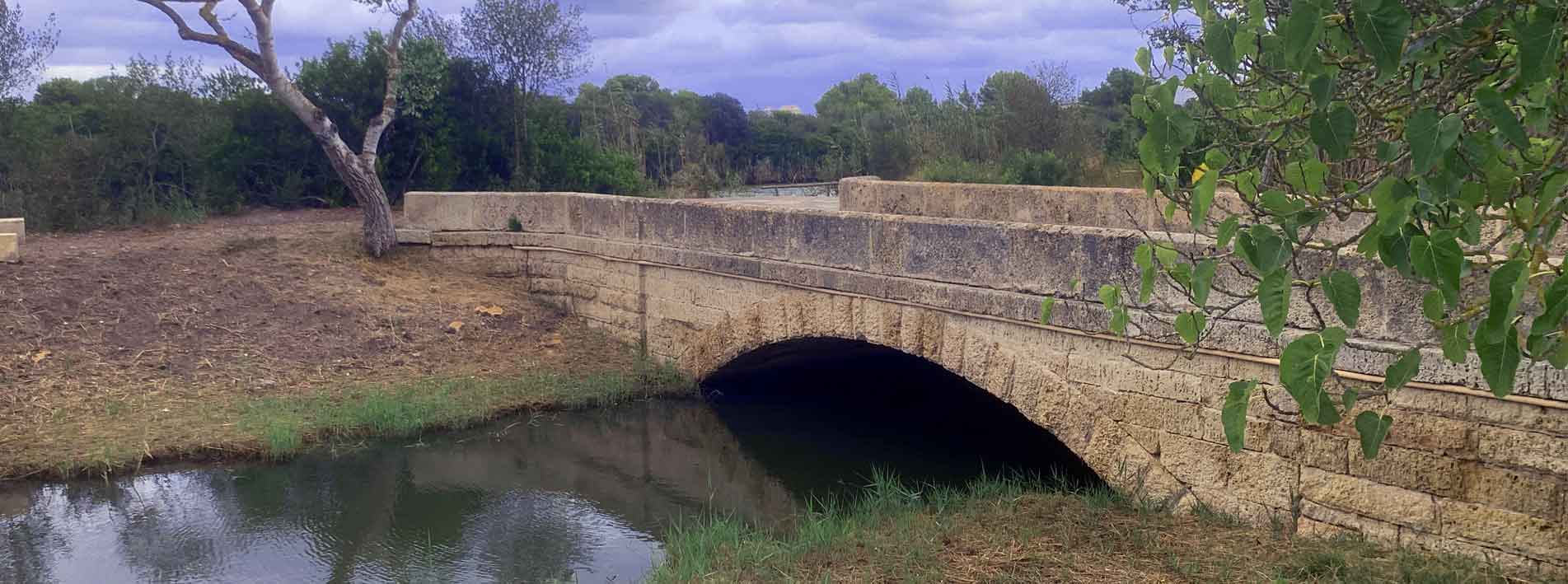 Humedales Mallorca Wetland