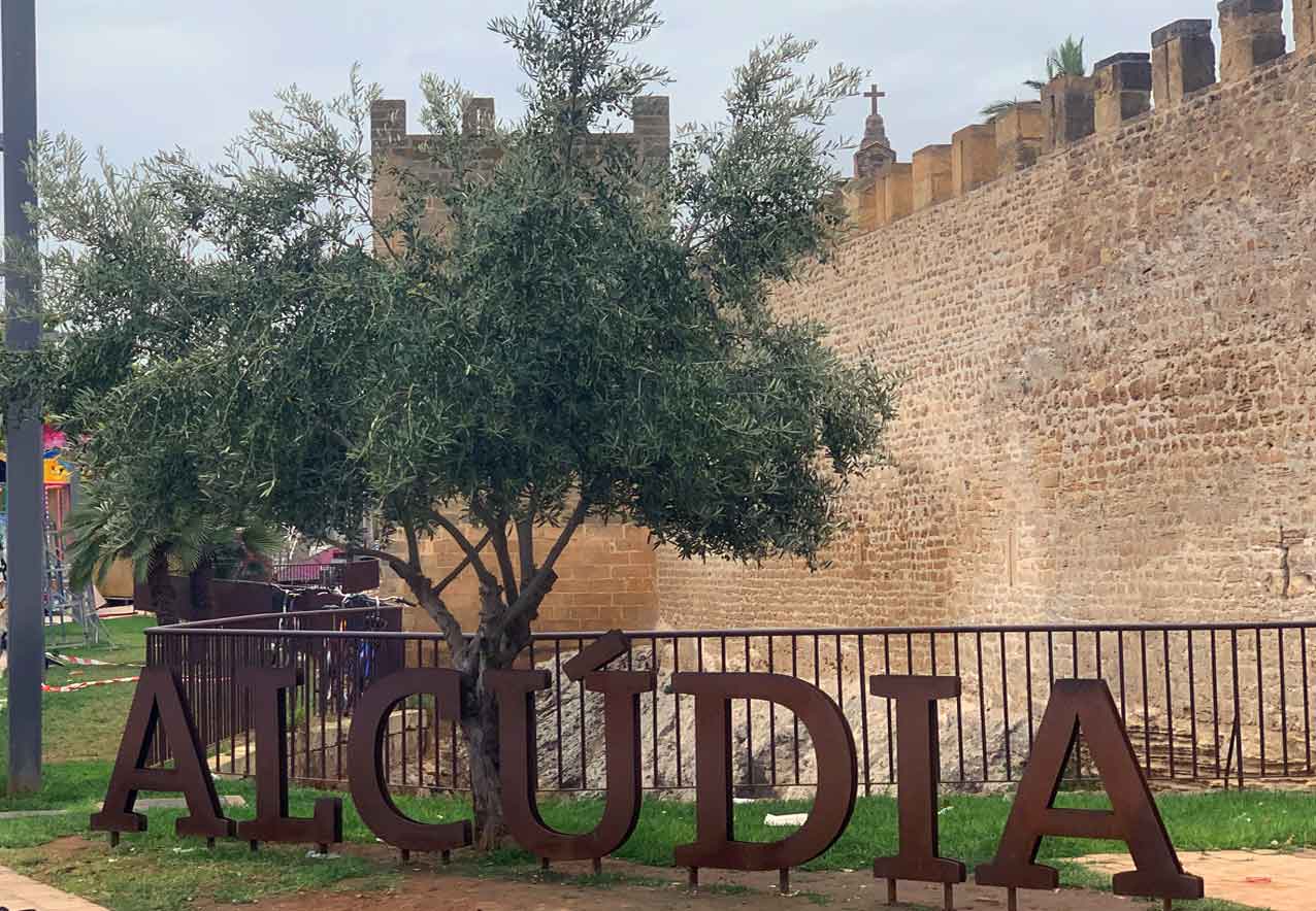 Alcudia guía de turismo Mallorca Tourism guide