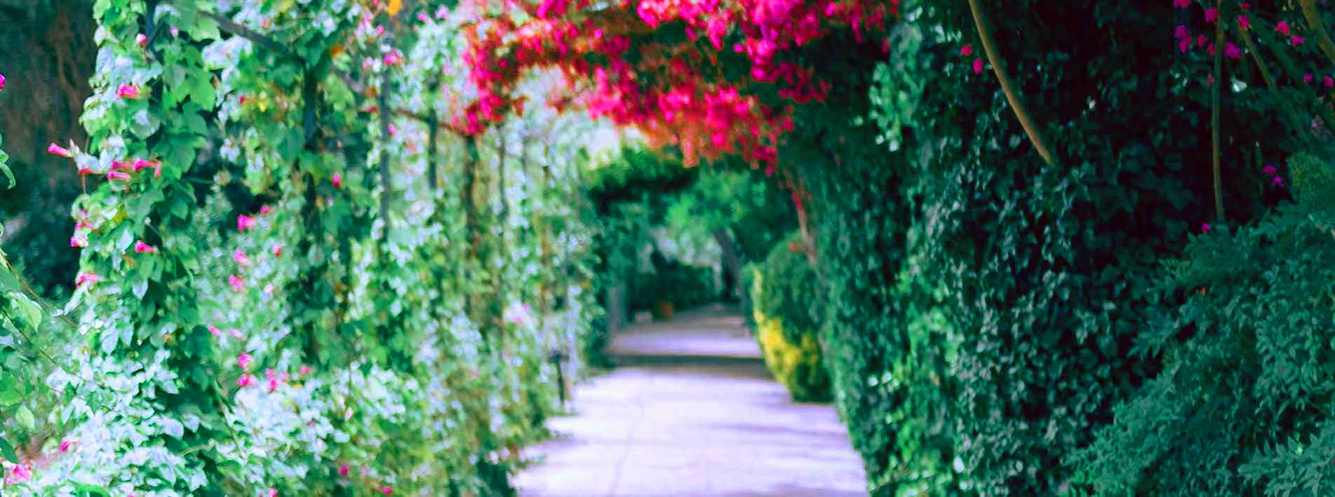 Gardens Cultural Landscapes jardines paisajes culturales Mallorca